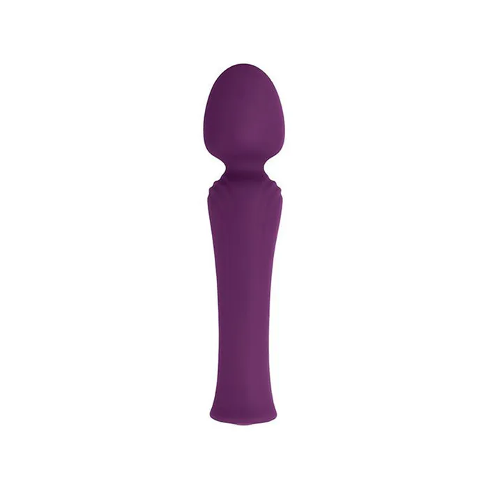 Evolved Vibrators My Secret Wand Vibrator