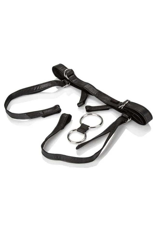 Her Royal Harness The Duchess Adjustable Harness Her Royal Harness Female Sex Toys Her Royal Harness The Duchess Adjustable Harness Her Royal Harness Female Sex Toys