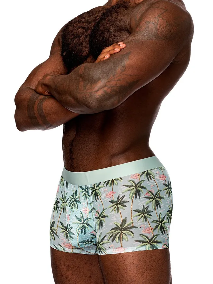 Male Power Sheer Prints Seamless Sheer Short Medium Flamingo Hosiery Male Power Sheer Prints Seamless Sheer Short Medium Flamingo Hosiery