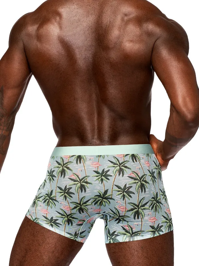 Male Power Sheer Prints Seamless Sheer Short Medium Flamingo Hosiery Male Power Sheer Prints Seamless Sheer Short Medium Flamingo Hosiery