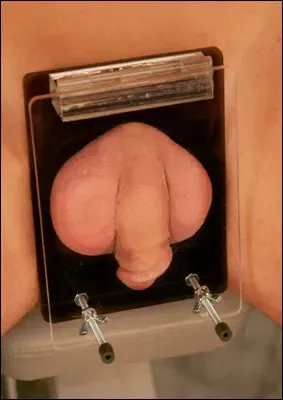 Male Sex Toys Ballisticmetal Wholesale Acrylic Cock Ball Crusher CBT Smasher Clamp Optional Spike Crushing Plate Male Sex Toys Ballisticmetal Wholesale Acrylic Cock Ball Crusher CBT Smasher Clamp Optional Spike Crushing Plate
