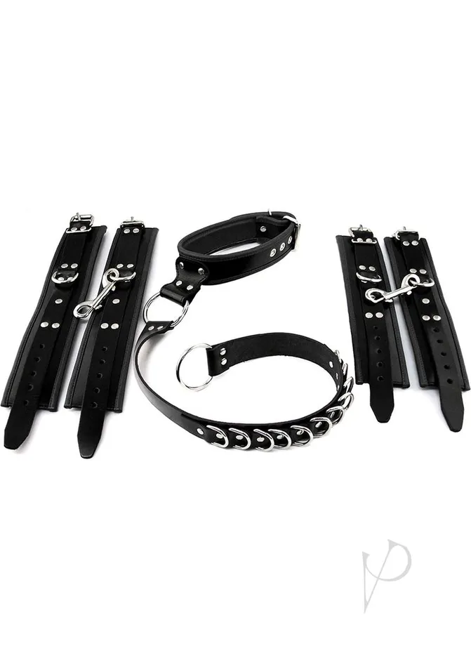 Anal Rouge Rouge D Ring Hogtie Black 5pc Set