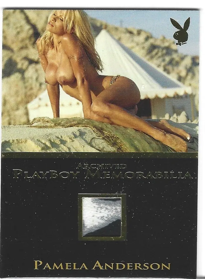 Dans Cards Vibrators Playboy Lingerie Dreams Pamela Anderson Gold Foil Archived Memorabilia Card