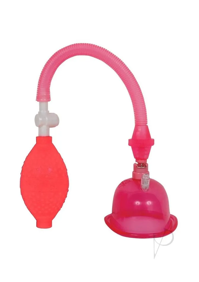 In A Bag Female Sex Toys In A Bag Pussy Pump Pink In A Bag Female Sex Toys In A Bag Pussy Pump Pink