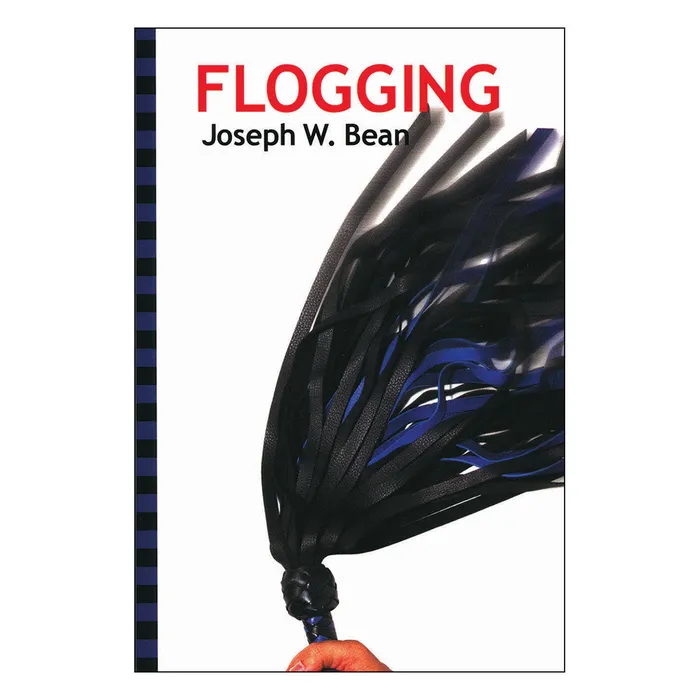 Bunny Shoppe Vibrators Flogging Book