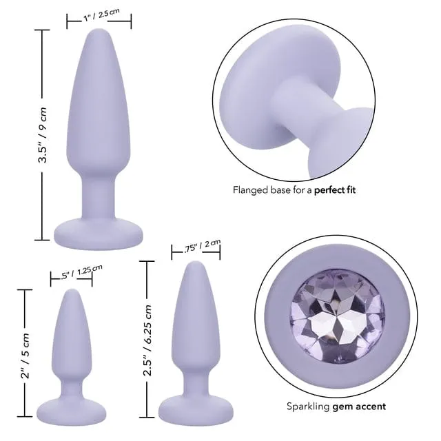 Female Sex Toys CALEXOTICS Calexotics First Time Crystal Booty Kit