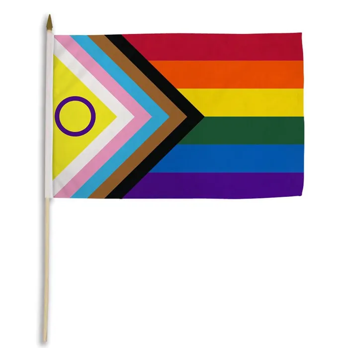 Flags Importer 12 x 18 Inclusive Pride Stick Flag Flags Importer Female Sex Toys