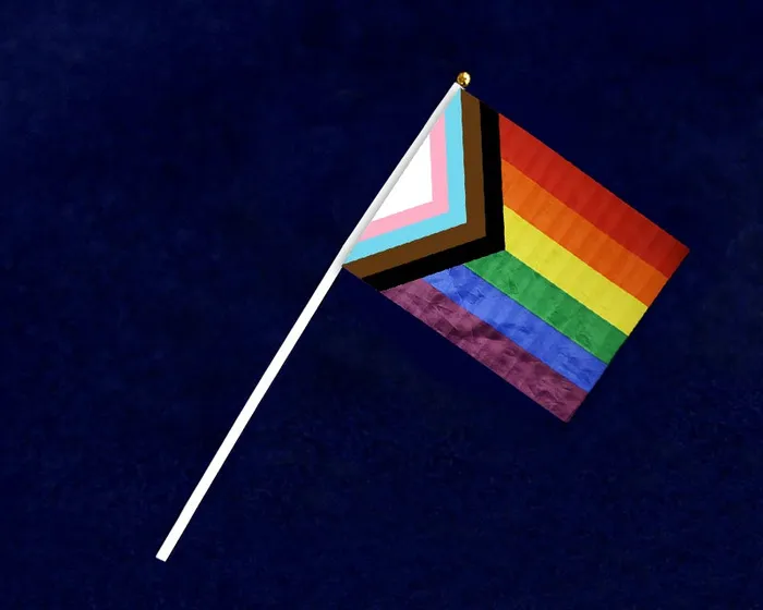 Progressive Rainbow Pride Flag Fundraising For Cause Anal