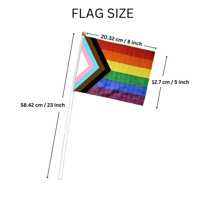 Progressive Rainbow Pride Flag Fundraising For Cause Anal